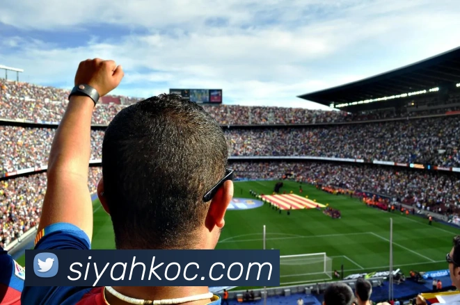 奖项证书